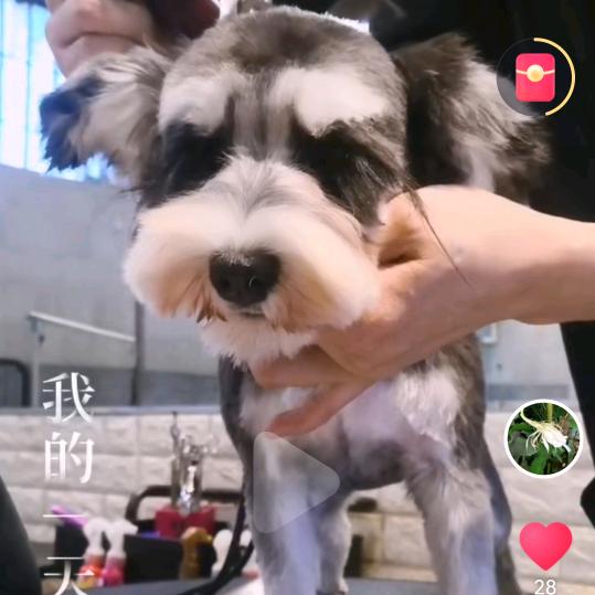 ╰つ浅浅笑