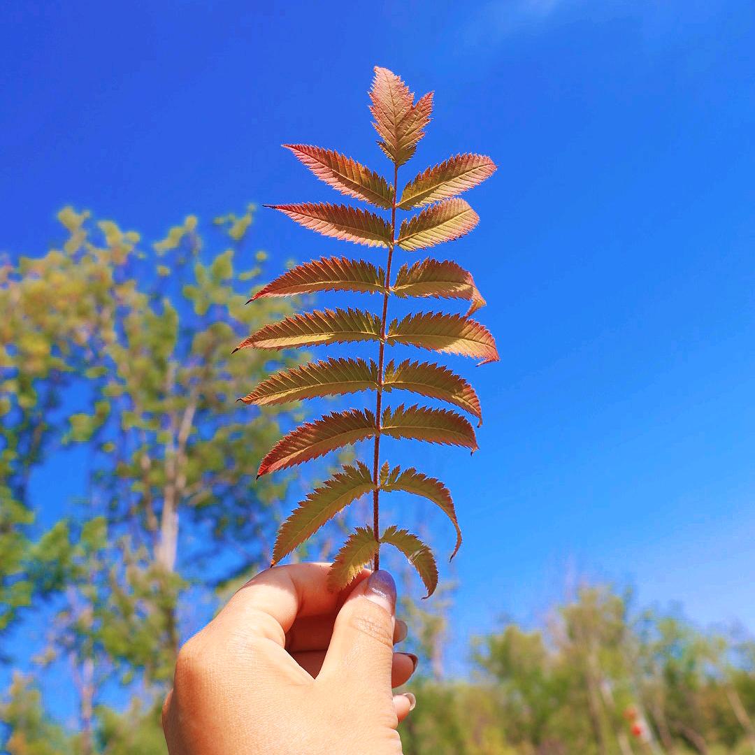 我爱生活呀呀呀呀