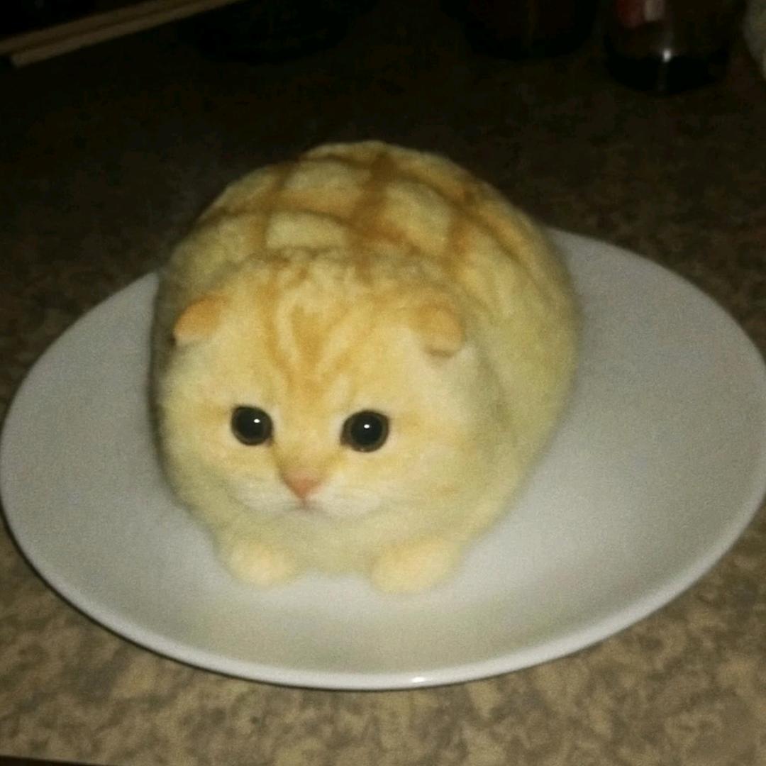 沭