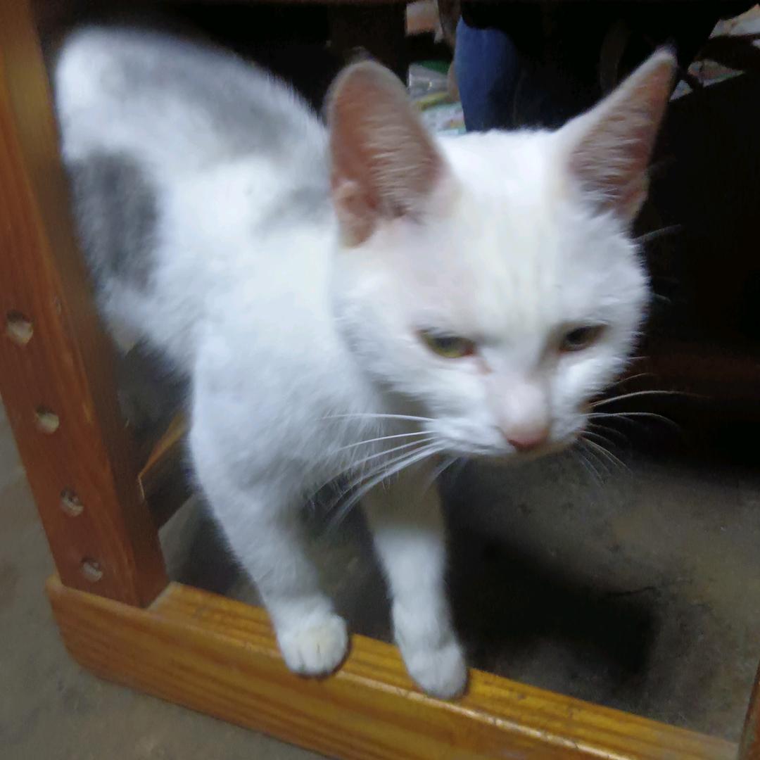 正在观测月亮的朱宜坤组成的头像