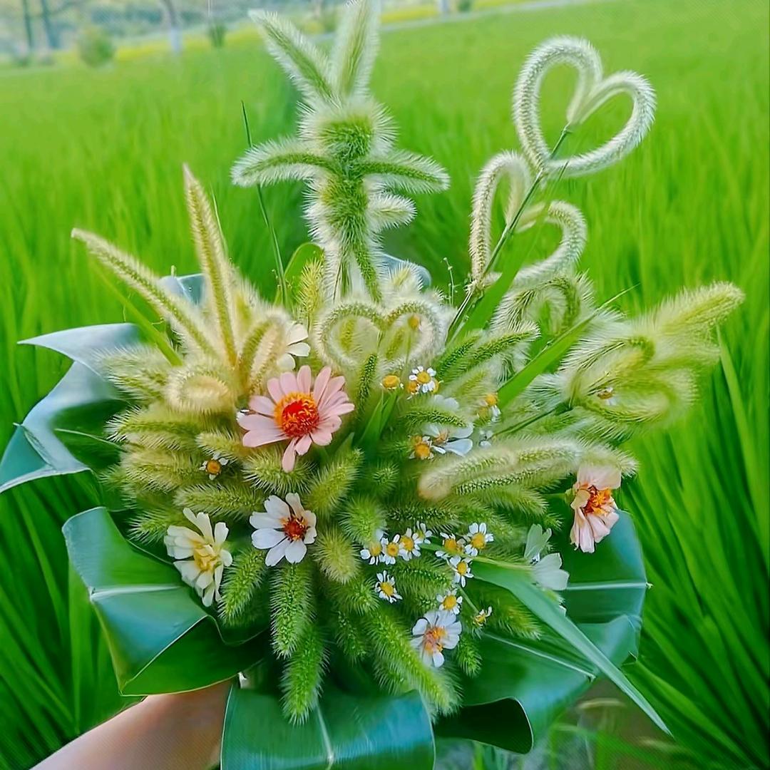 单亲妈妈