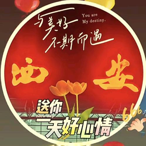 司机老三的快乐时光