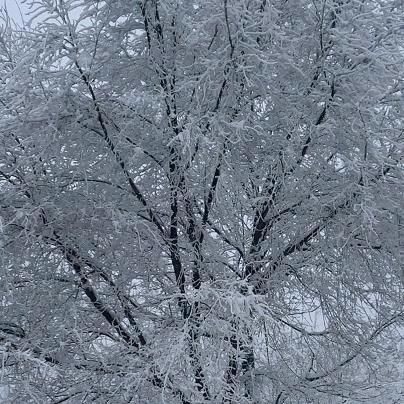 只为遇见你👩‍❤️‍👩