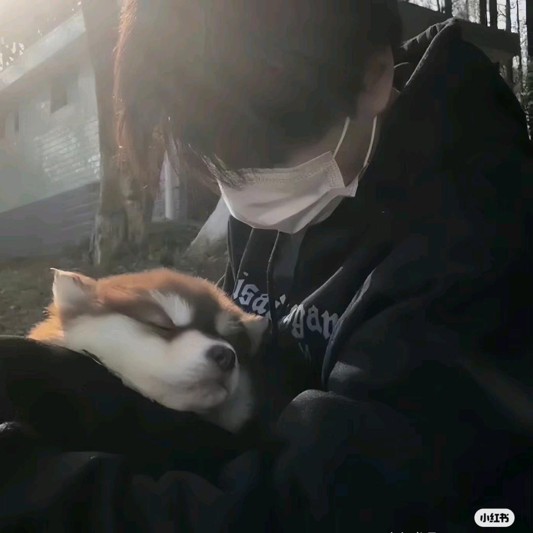 两面包夹芝士