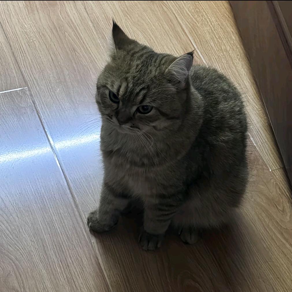 欲讲心事散清风.