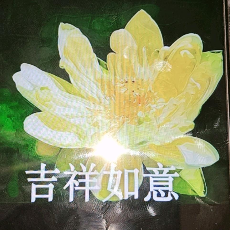 梅华永芳