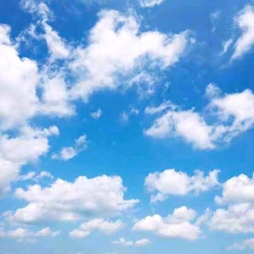 用户201503158