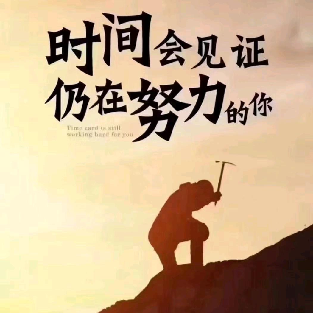 往后余生不谈爱