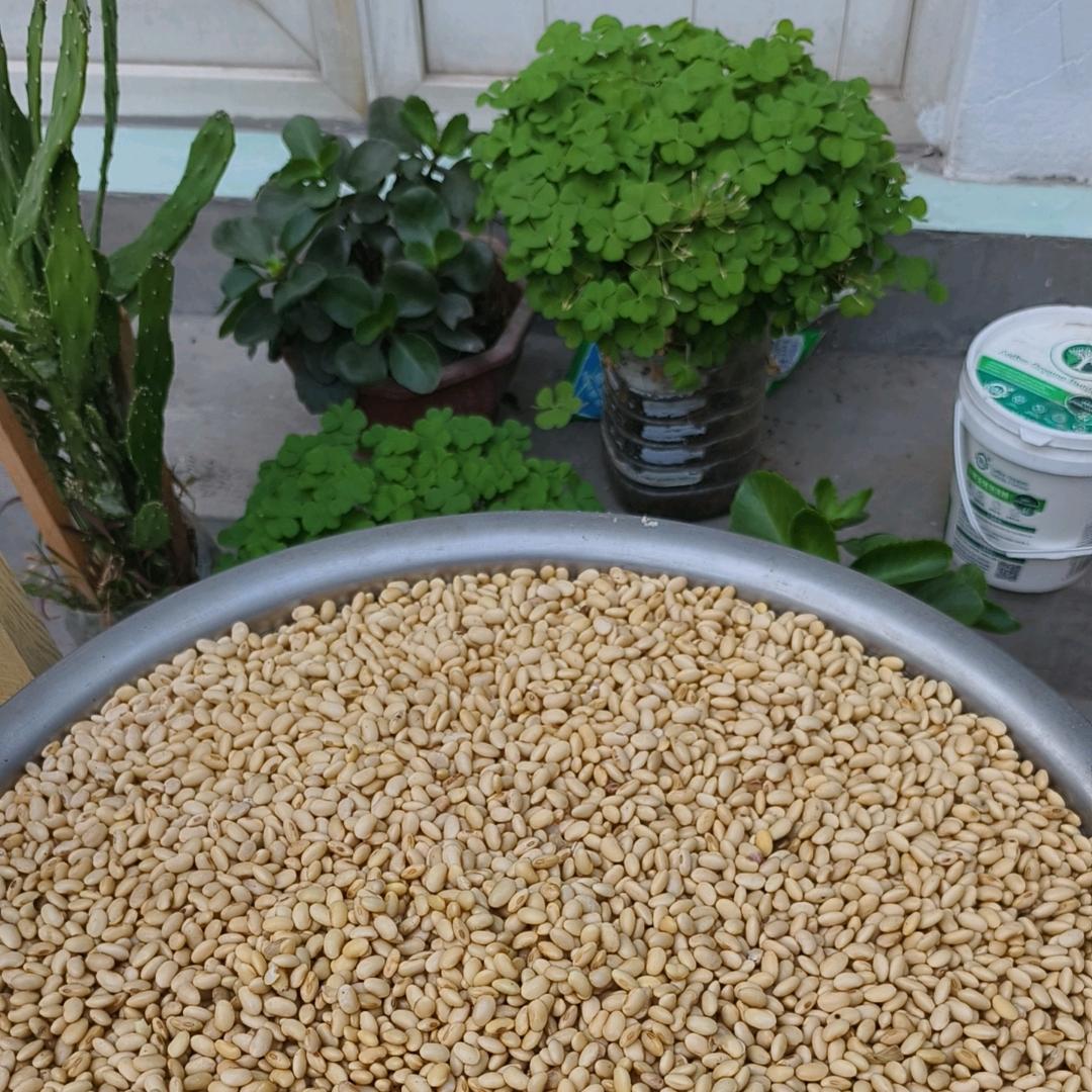 守村人.南山老豆腐.豆腐脑