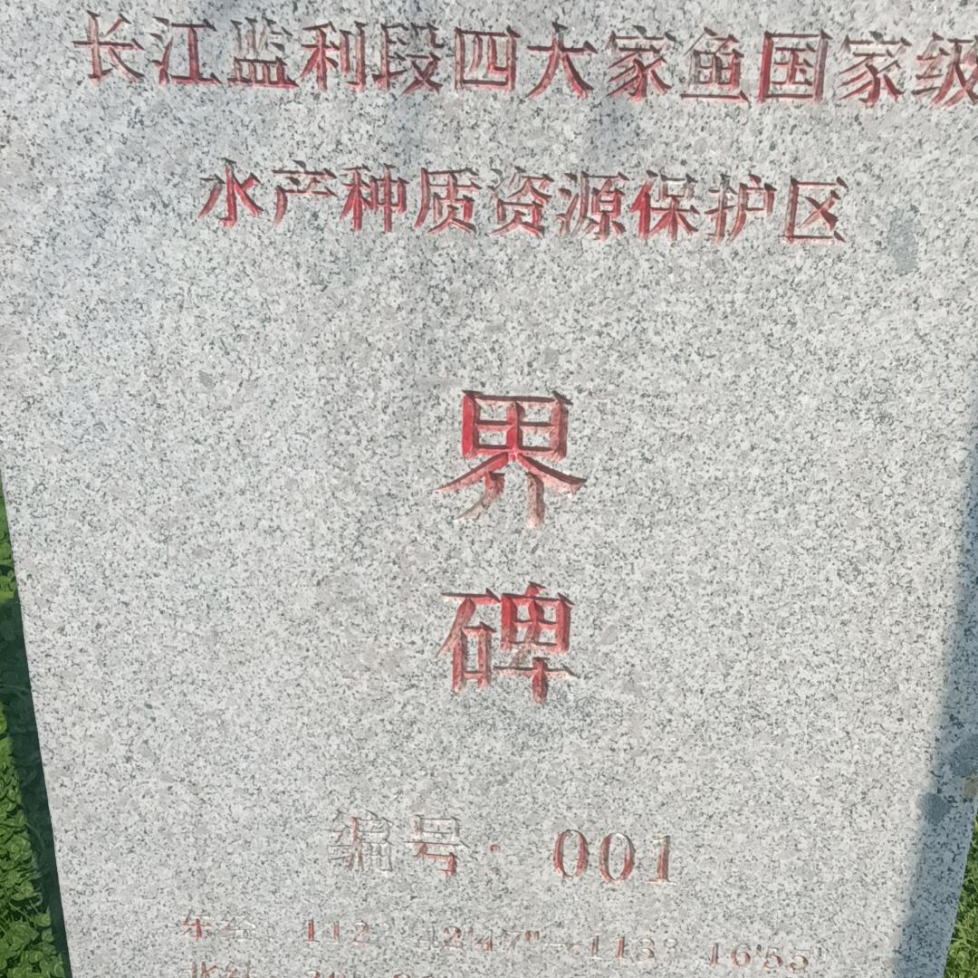 入梦
