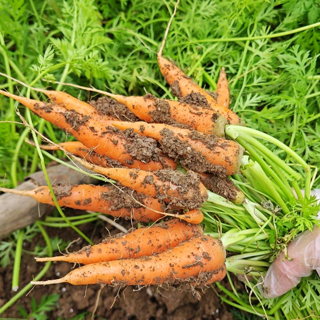 用户8901708293142，活在当下