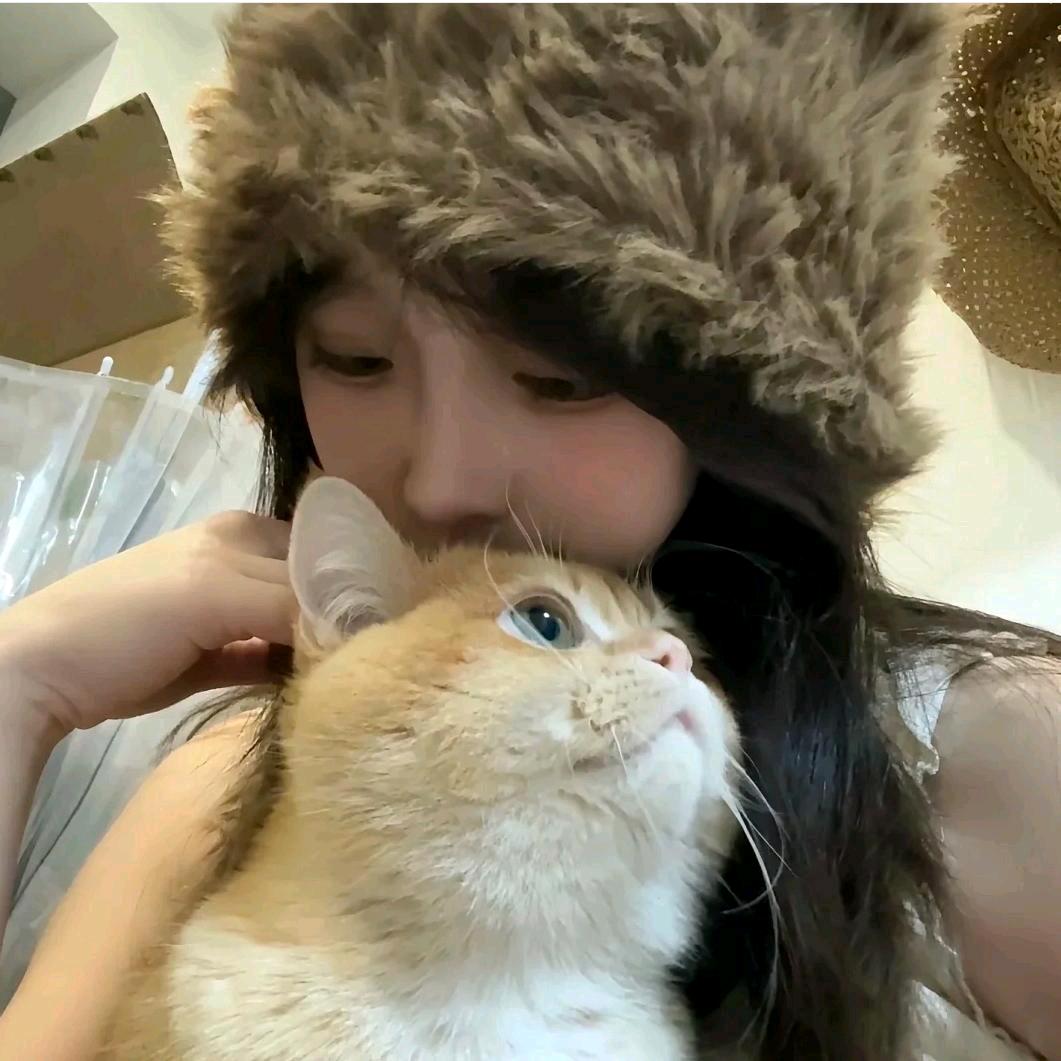 兔子兔子