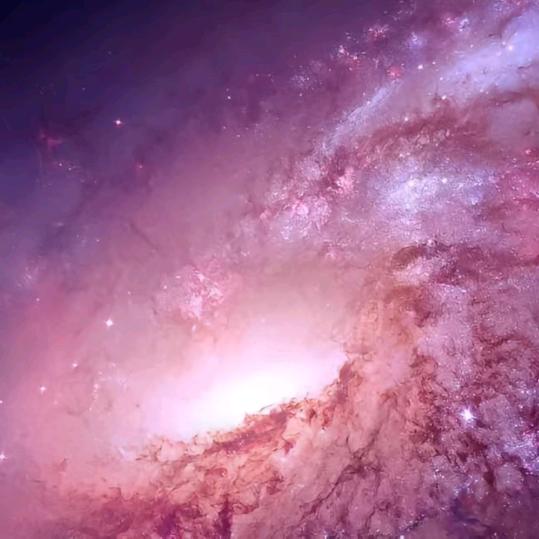 🫧꧔ꦿ林间鹿꧔ꦿ🫧