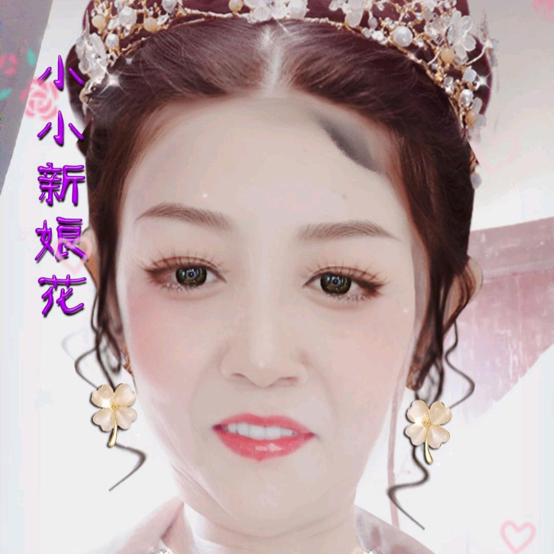 小王子(不识字绝不私信)