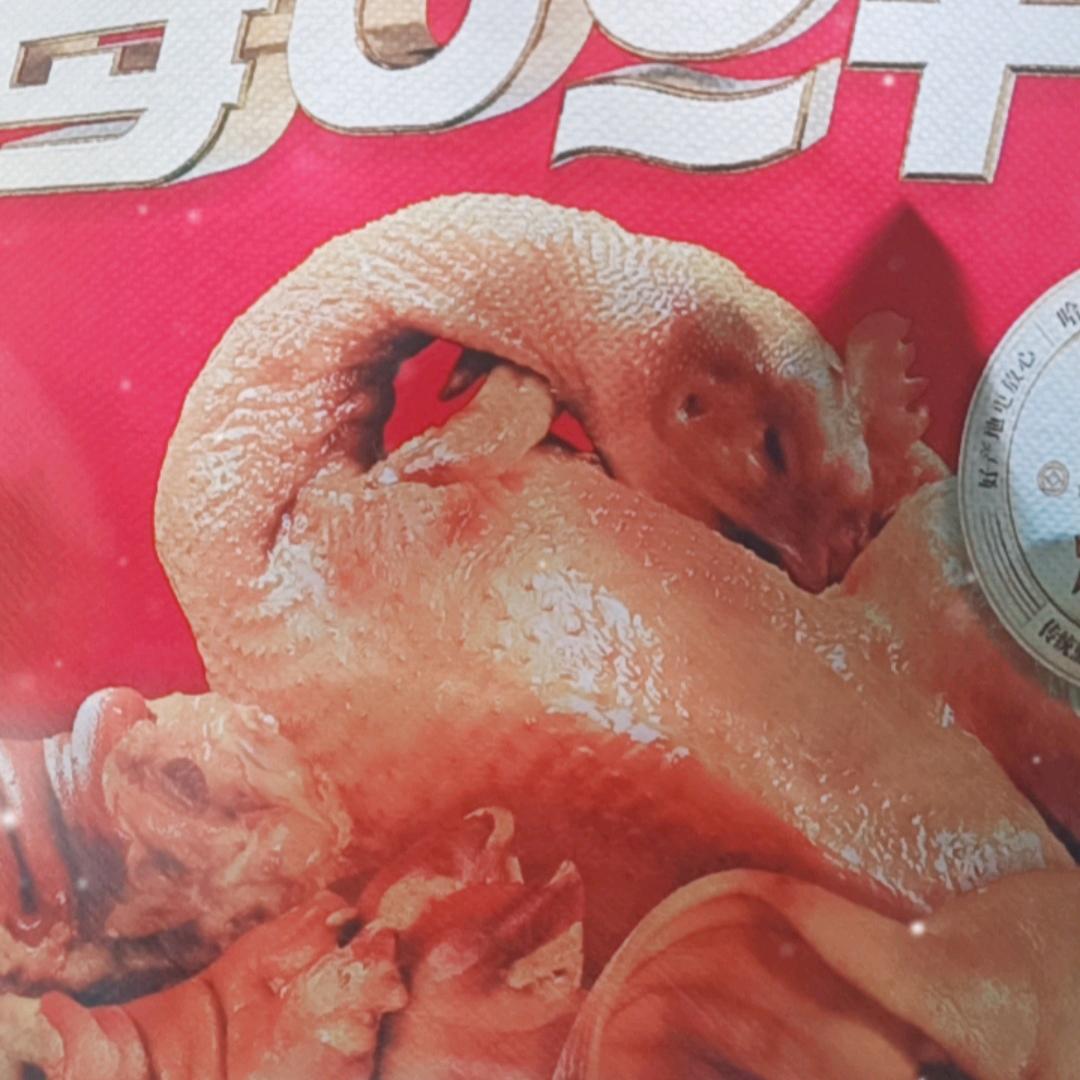 在输的路上