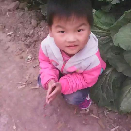 圆圆