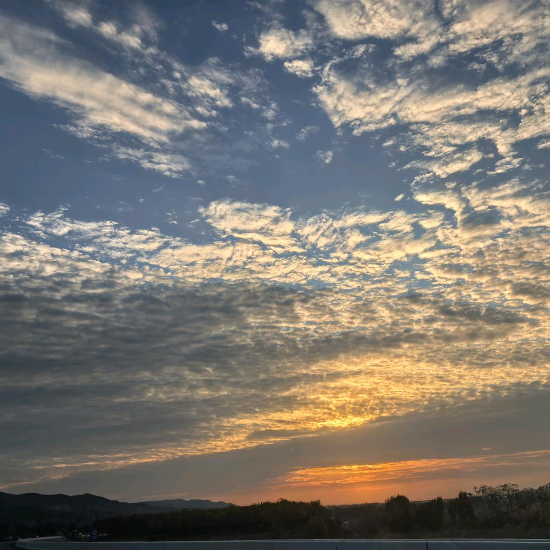龙