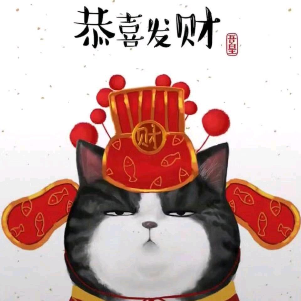 这个账号有点 冷！
