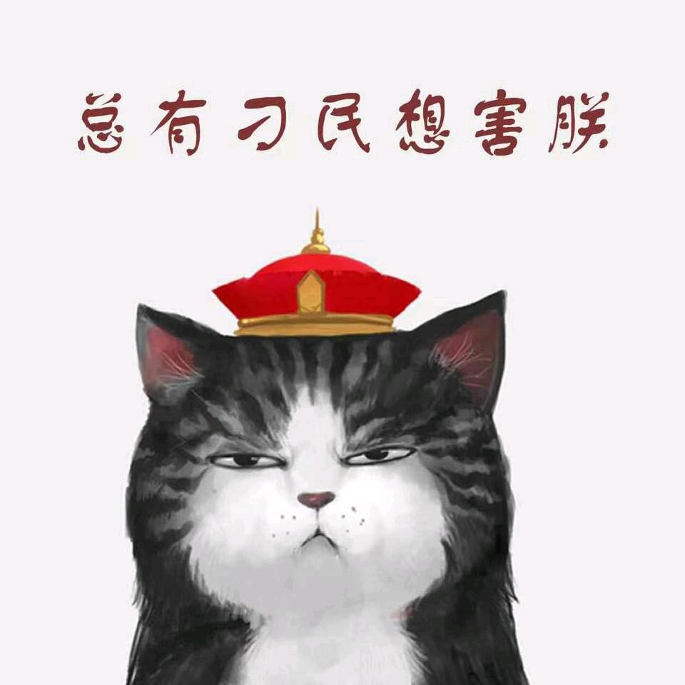 ✔金豆豆