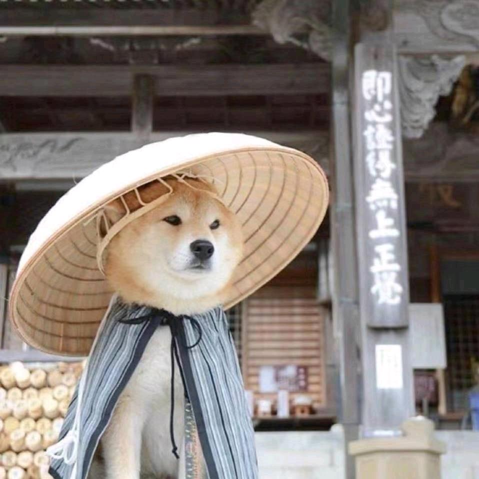 🌈🌈※对方正在输入
