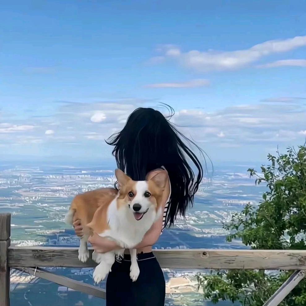 芋圆圆～