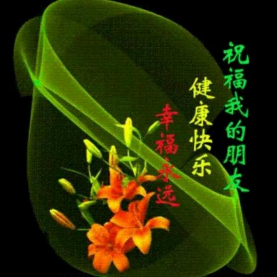 花洛随意
