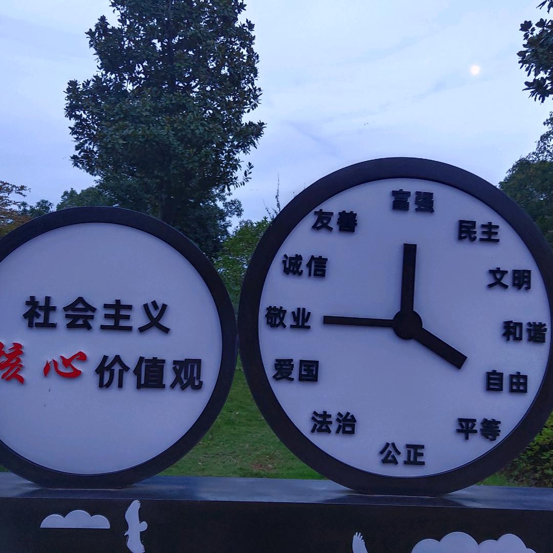 借光伏地🌤️💥