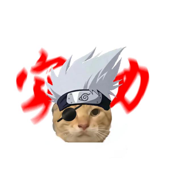 灰勒塔德钱兔