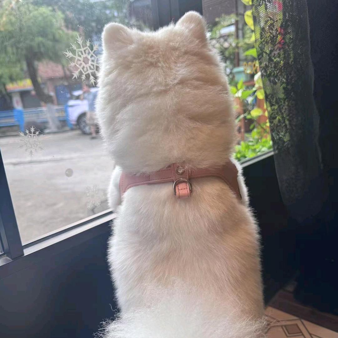 云容萱萱零点剪^心玖柒影视