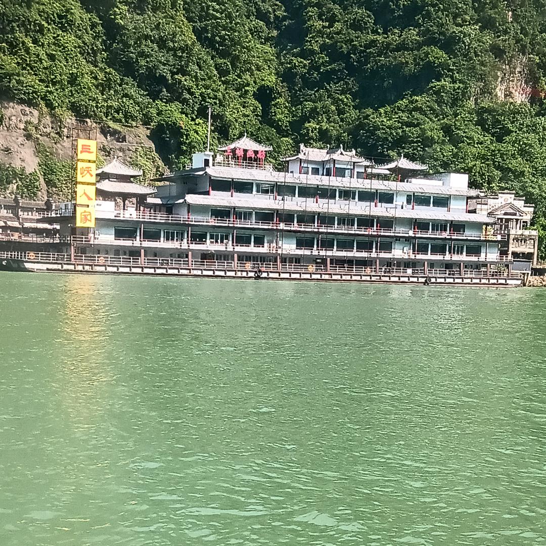 🕊萍萍🕊安安🕊️