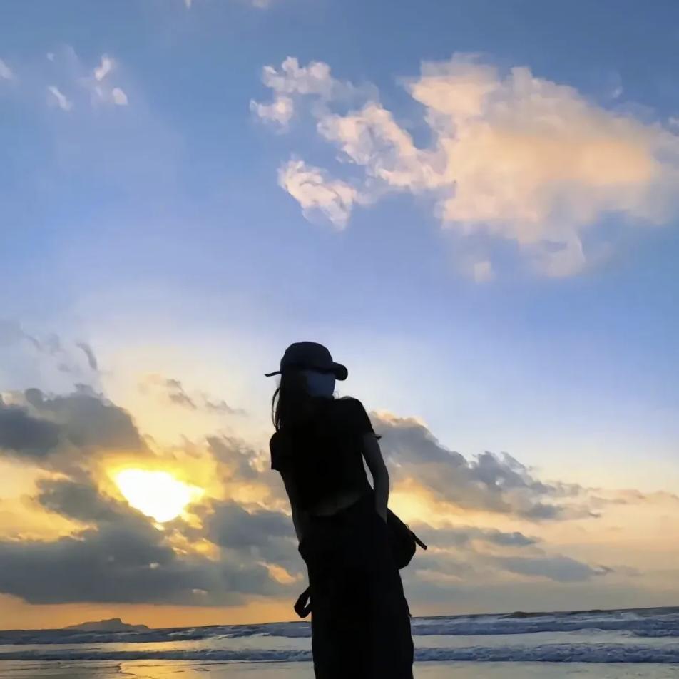 梧桐自有凤凰栖