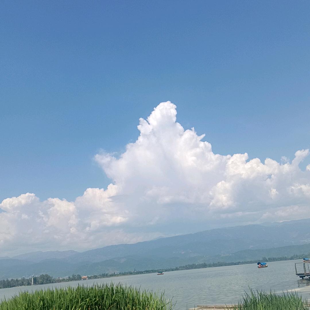 小农哥