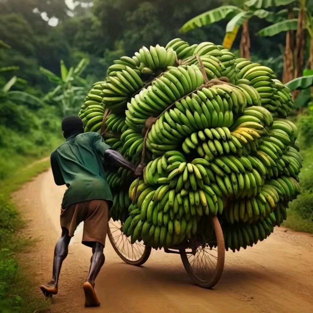 唐僧洗头用飘柔