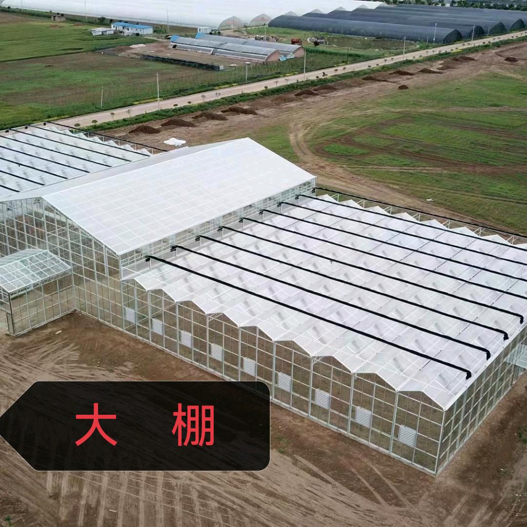 AA小哥温室大棚厂
