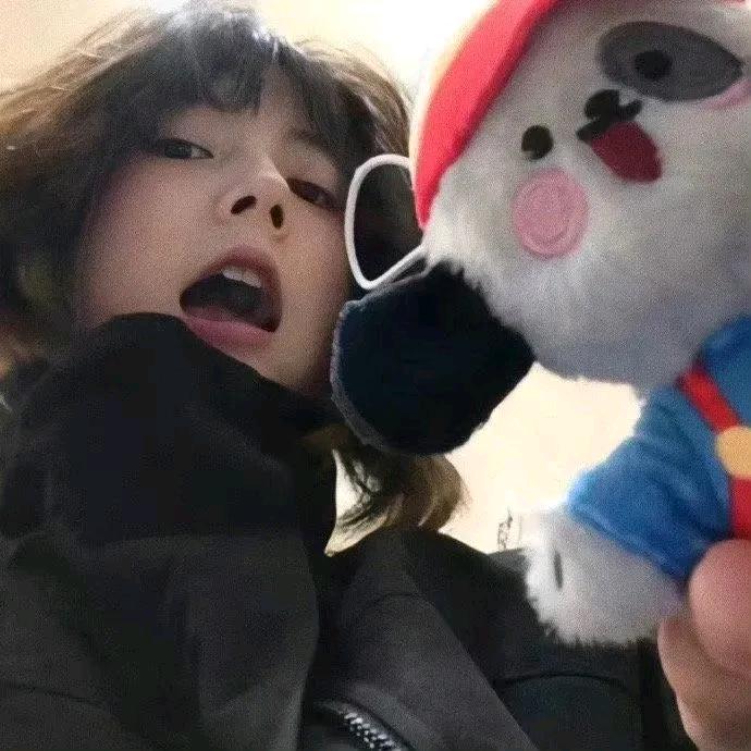 西柚西柚
