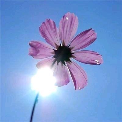 【梅姐】