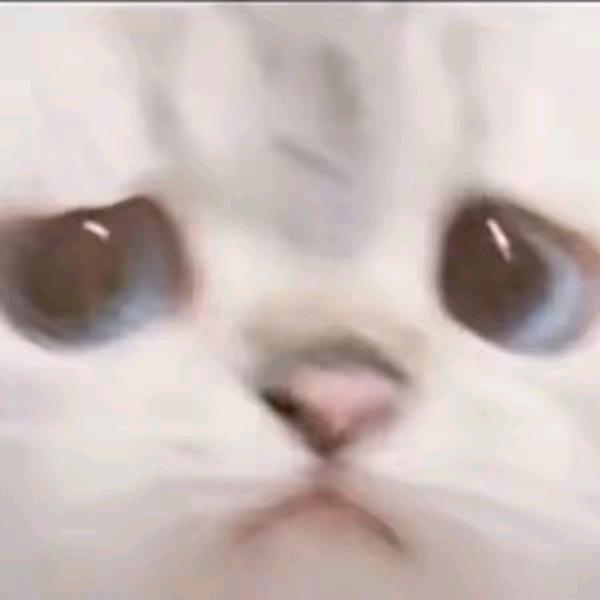 张↘