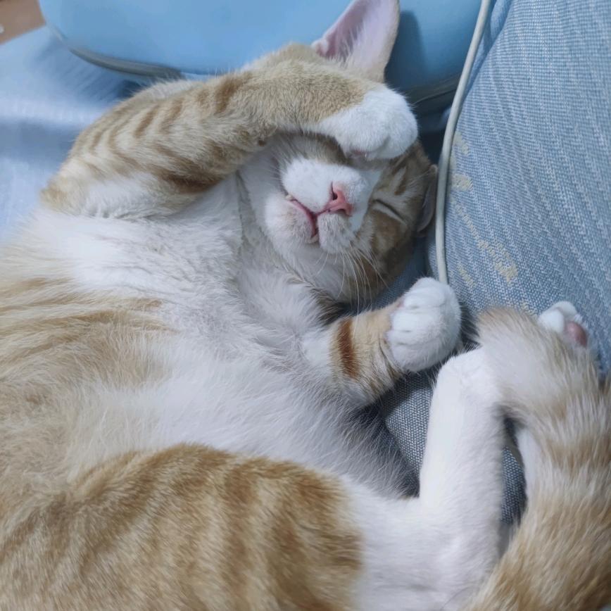 可乐➕麦香鸡＝快乐