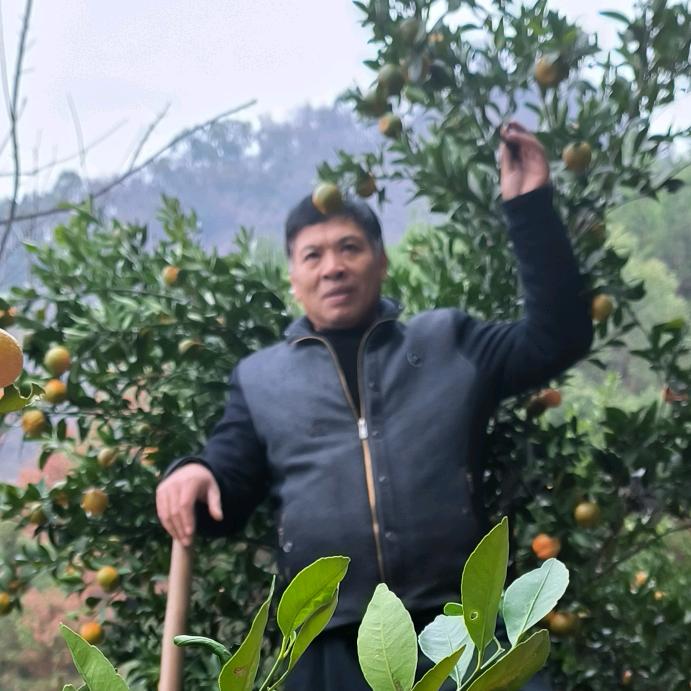 憨皮大叔陈红林