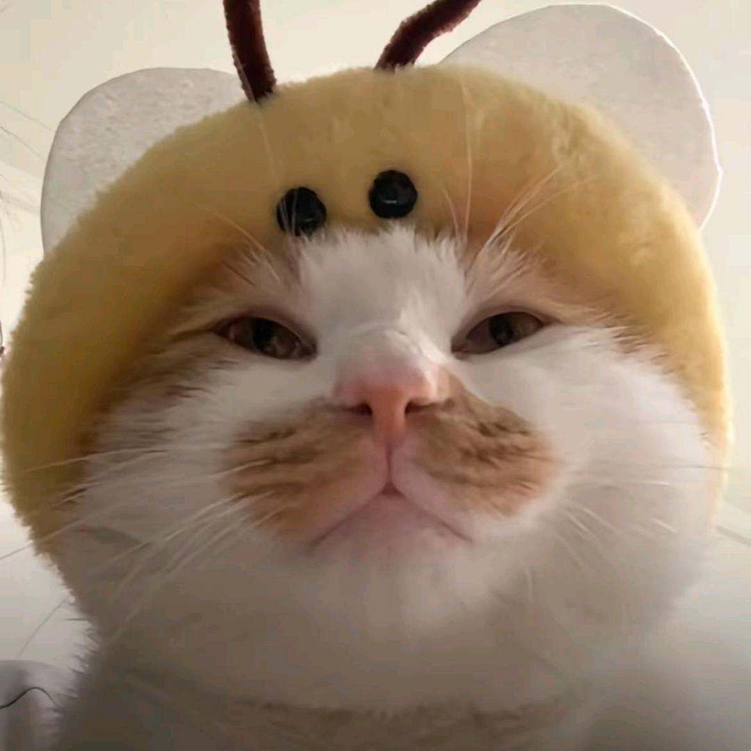 夜与余晖