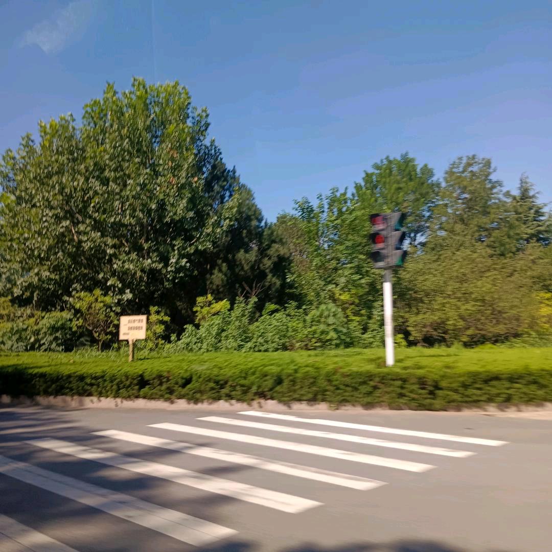 幸福一生◉‿◉