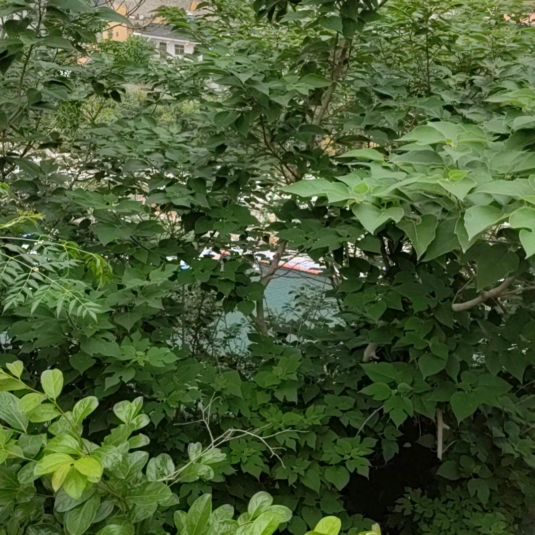 满满的期待