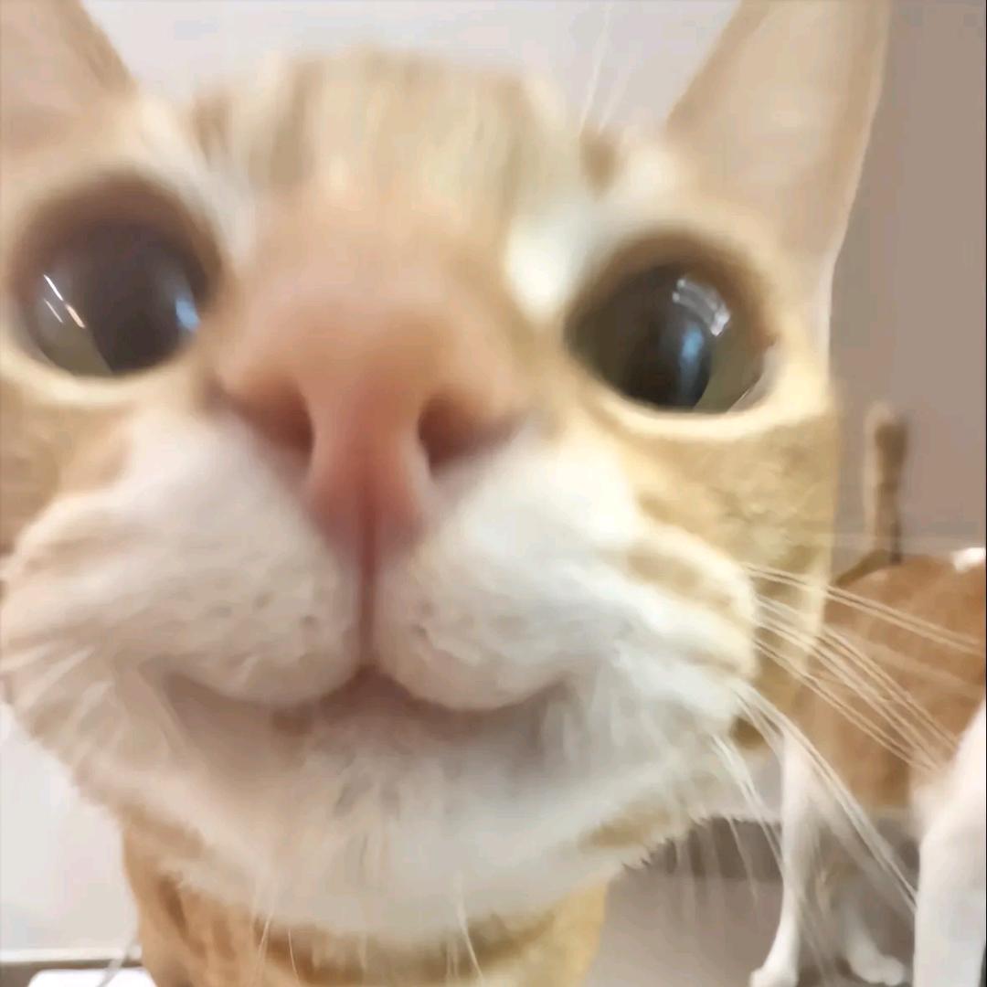 爱吃湘菜