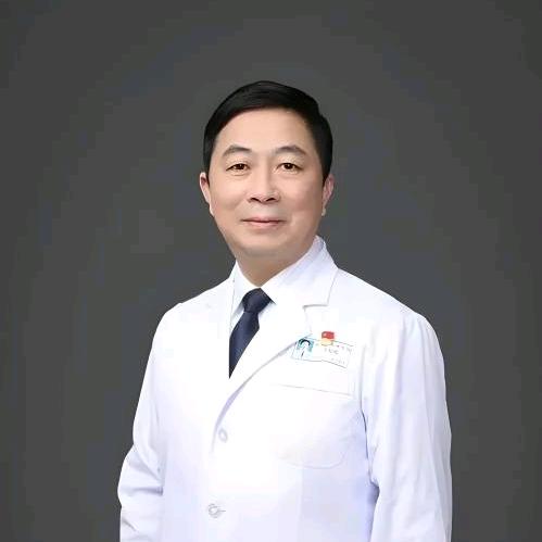 基本文化结构研究员