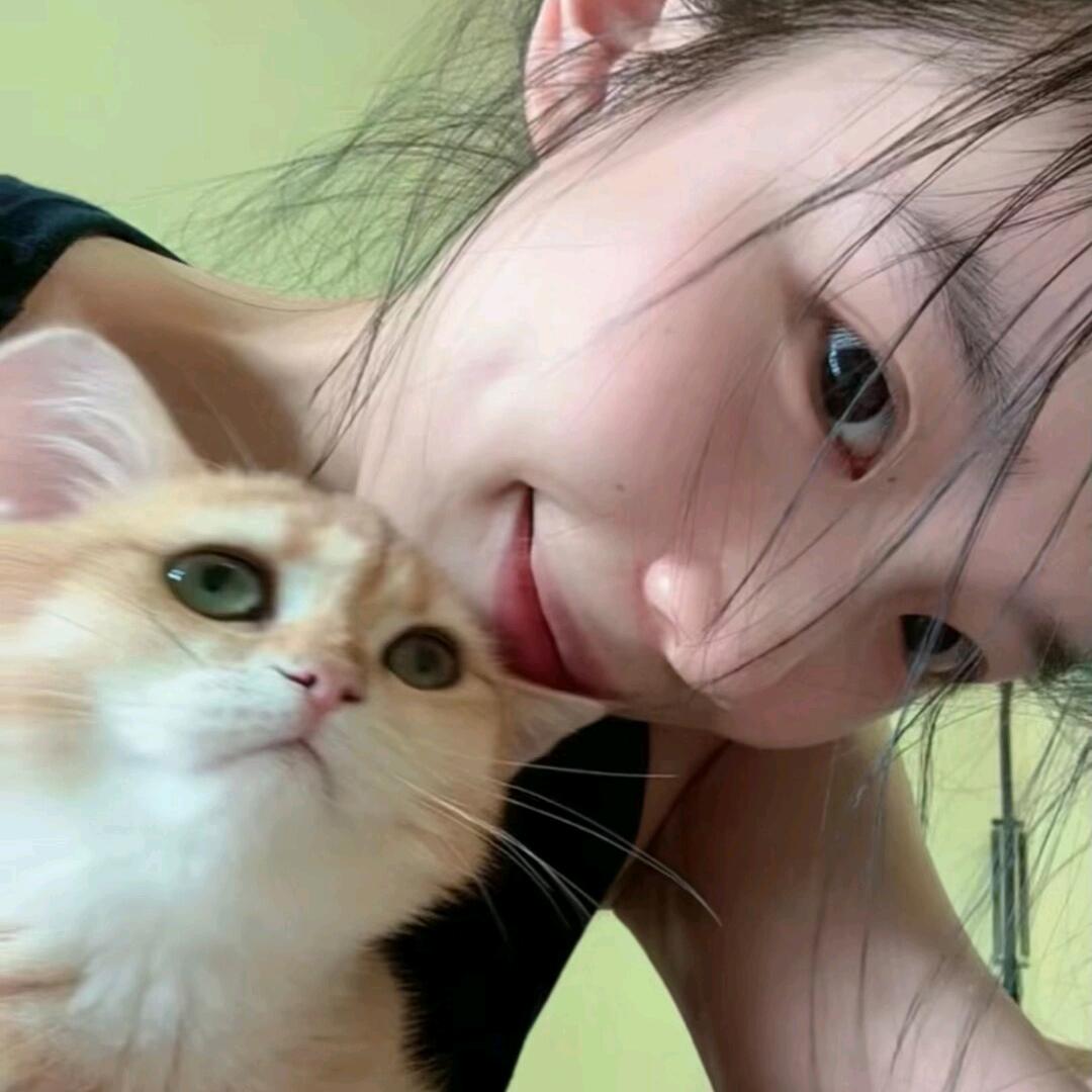 每天都很困