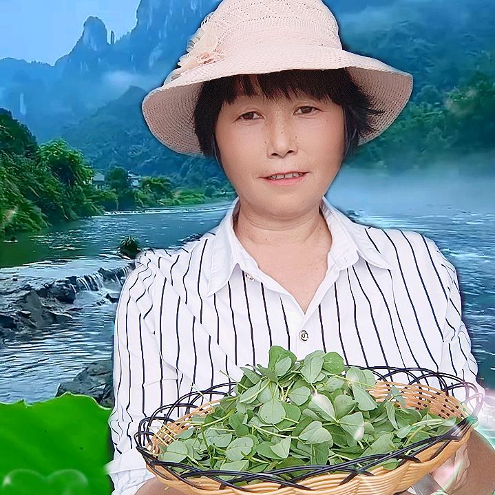 农家二姐
