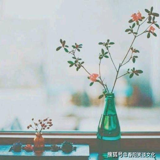 大飞，带您游三亚