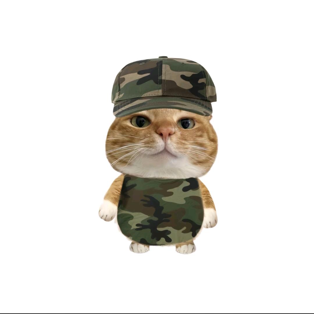 猫包本糕