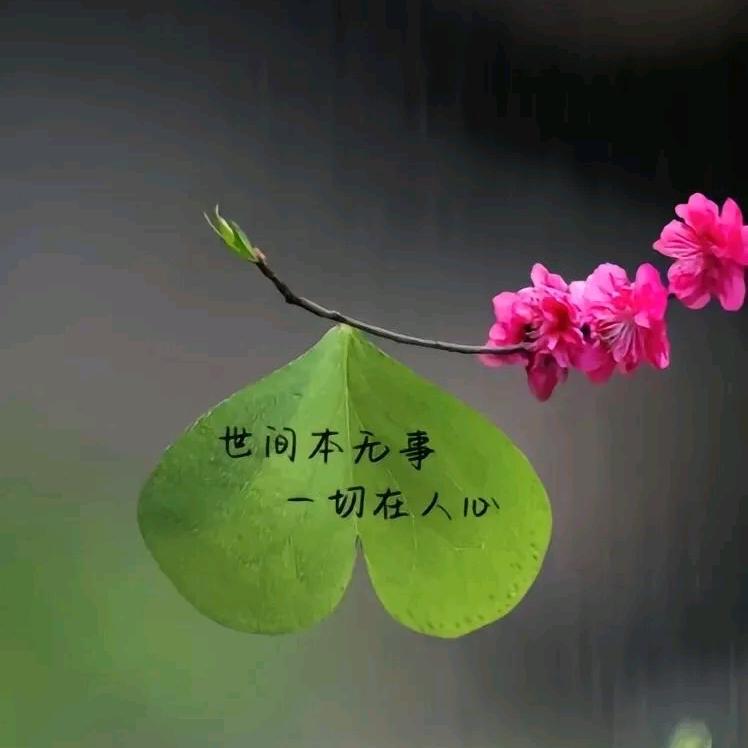 💞(｡･ω･｡)ﾉ♡余生不将就