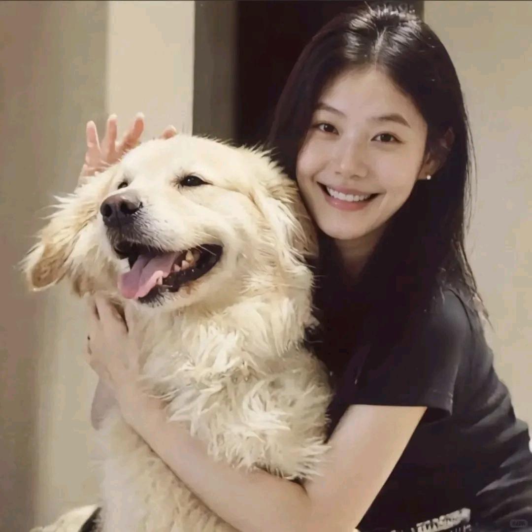榆木脑袋.